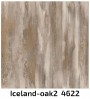 Iceland-oak2--4622.jpg